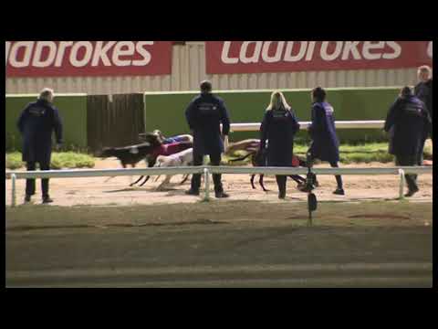 Melodys Secret - Ladbrokes Kent Derby (Heat 4)