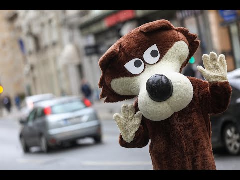 Vučko prošetao Sarajevom na 38. rođendan