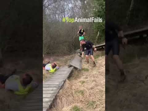 😂🔥 Fails Variados | Mixed Funny Fails #viral