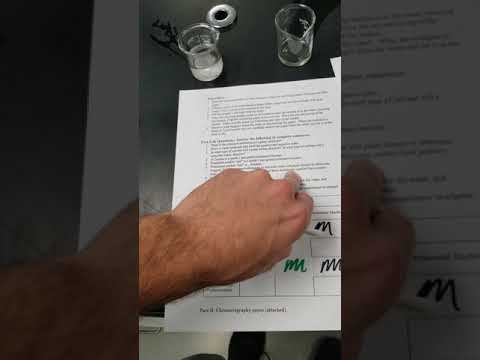 Polarity Lab