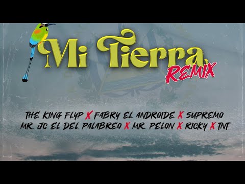 Mi Tierra Remix (feat. Supremo, Ricky, Fabry El Androide, Tnt, Mr Jc & MrPelon503 X The King Flyp)