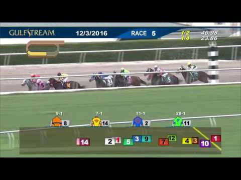 2016 Claiming Crown Glass Sliper Stakes - Tormenta de Oro - Gulfstream Park