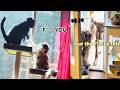 Ozzy Man KLR Productions Animal Roast
