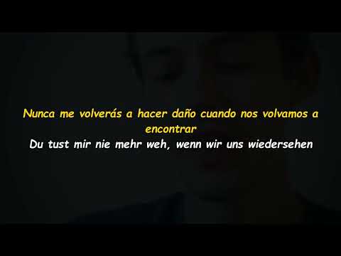 AnnenMayKantereit - Du tust mir nie mehr weh - Sub Español/Alemán