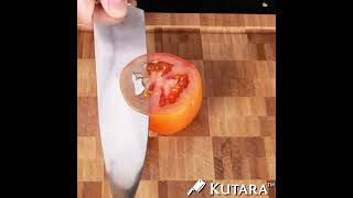 Akaishi Kido Chef Knife Set (10-Piece)