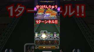 【ドラクエウォーク】せげんりゅう　1ターンキル！！【DQW】