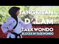 TANGKISAN TANGKISAN DALAM TAEKWONDO Part 1 Taekwondo Basics