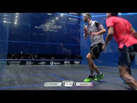 Rösner v Gawad "No Let decision"