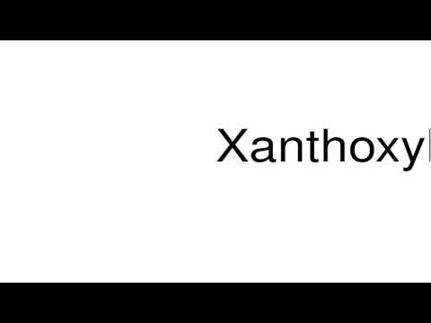 How to pronounce Xanthoxylum