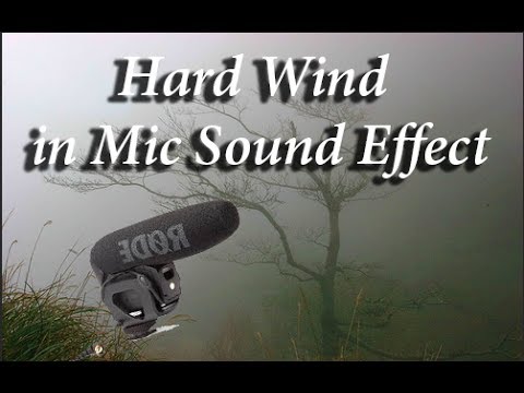 Hard Wind in Mic Sound Effect