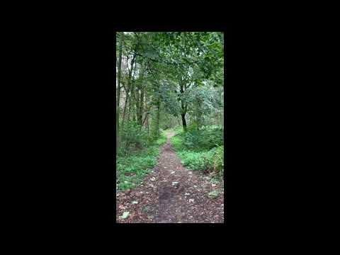 walk nr winteringham 06 10 21