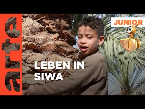 Kinderporträt: Hassan in der Siwa-Oase | ARTE Family