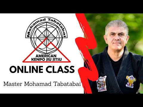 Parting Wings, Encounter with Danger and Trapping Branch Combo - Mr. Mohamad Tabatabai