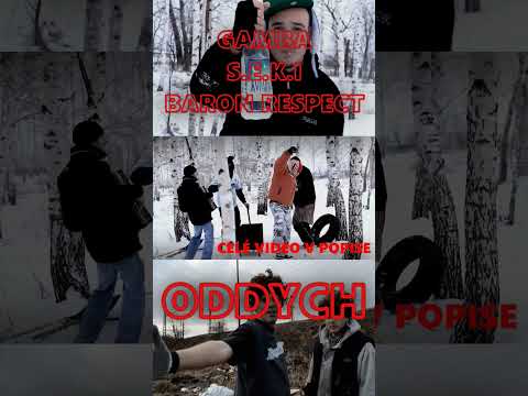 komu treba ODDYCH ve 2023? #Gamba #Seki #Oddych #shorts #reels #music #musicvideo #comedy