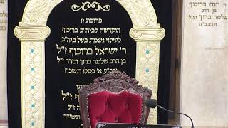 בית המדרש חזון יעקב • ראש חודש כסלו תשפ'ו (בית הכנסת מוסאיוף) - התמונה מוצגת ישירות מתוך אתר האינטרנט יוטיוב. זכויות היוצרים בתמונה שייכות ליוצרה. קישור קרדיט למקור התוכן נמצא בתוך דף הסרטון