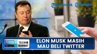 CEO SpaceX, Elon Musk Masih Mau Beli Twitter, tapi Ada Satu Syarat
