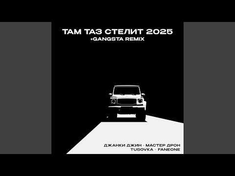 Там таз стелит 2025
