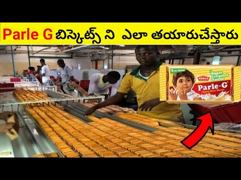 Parle G Biscuits making process in factory #TeluguBadi V2 Vinay Vlogger