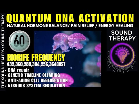 🔓 ECLIPSE 2025 | QUANTUM GENETIC CODE DNA ACTIVATION PORTAL