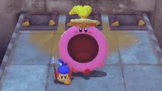 #9 無垢な二人が世界を救う、星のカービィディスカバリー協力プレイ
