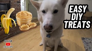 How to Make Easy Healthy Dog Treats! | 🍌Banana Peanut Butter Treat Recipe Guide