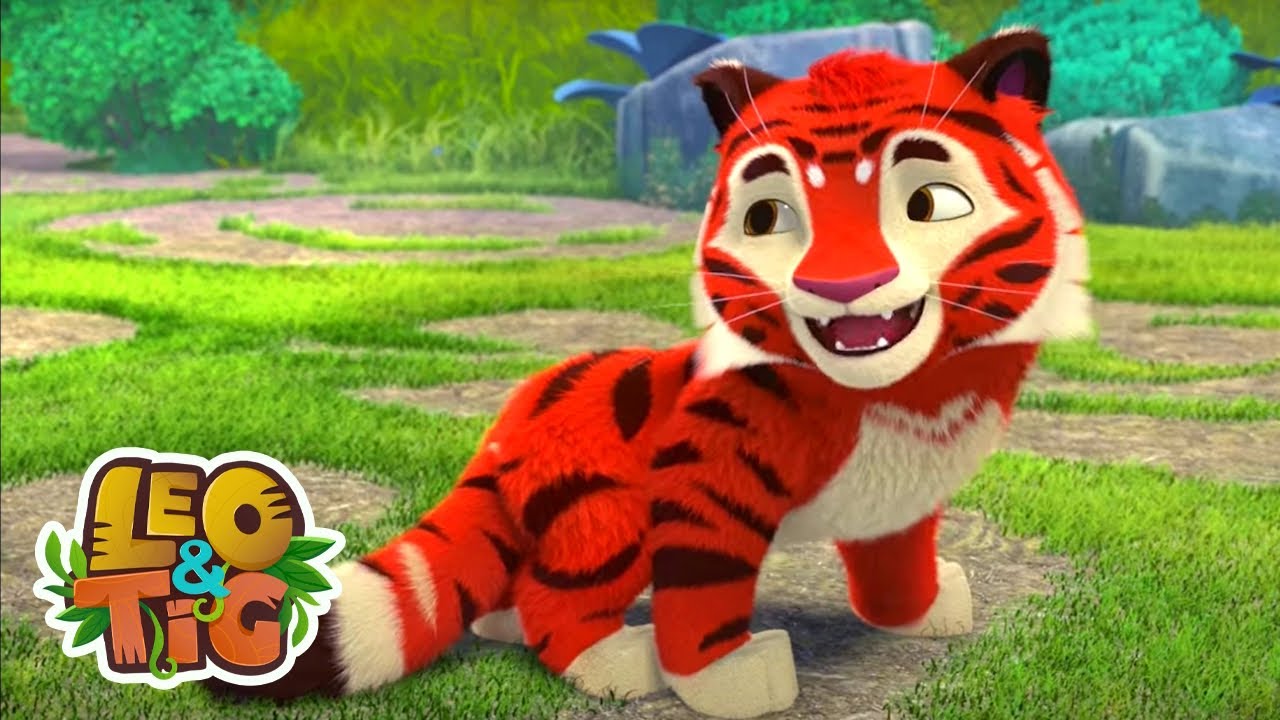 Leo & Tig -  Um presente do espírito da Taiga | Desenhos infantil 🐯🦁