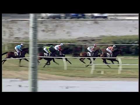 Galoppo 15/07/2020 - 1ª corsa