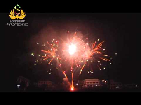 90 shots W shape cakes