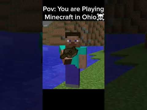 Minecraft in Ohio Be Like...