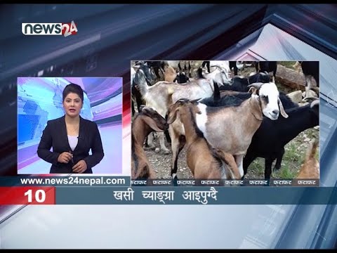 MORNING FATAFAT NEWS - NEWS24 TV