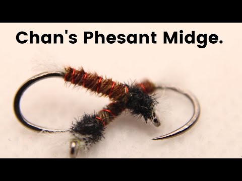 Chan's Pheasant Midge
