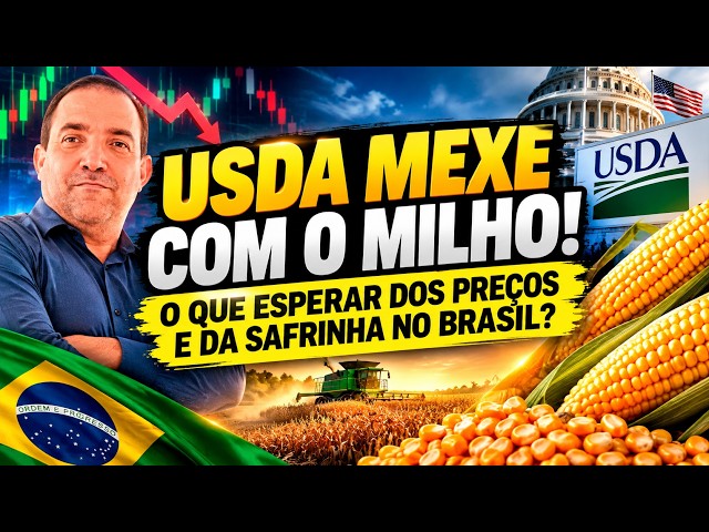 O Milho Vai Subir? O Que o USDA, os Fundos e a Safrinha Apontam para o Mercado.