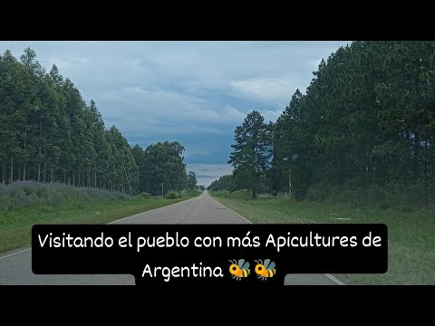 Los Charrúas ,el pueblo de la Apicultura en Entre Ríos 
