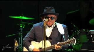 Van Morrison - Cyprus Avenue / You Came Walking Down  (live at the Hollywood Bowl, 2008)