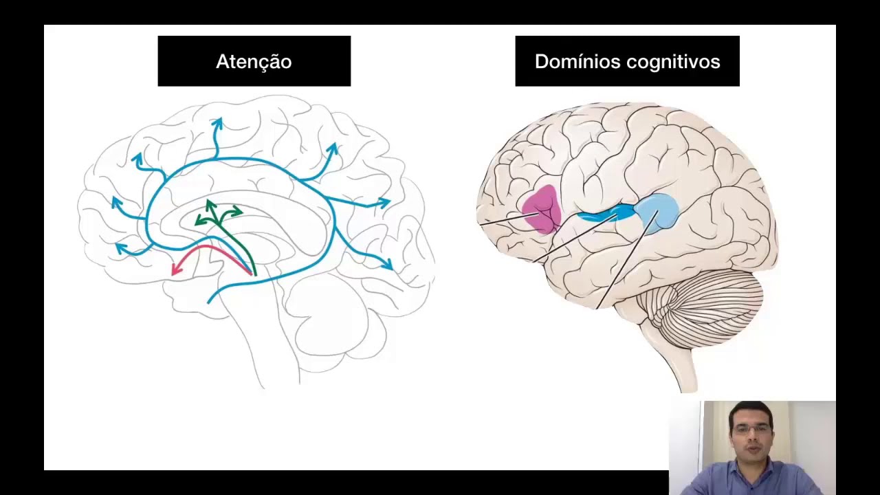 Revisão básica - Funções Mentais Superiores