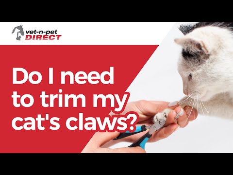 Do I need to trim my cat's claws?