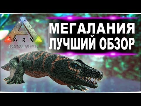 Мегалания (Meglania) в АРК. Лучший обзор: приручение, разведение и способности в ark