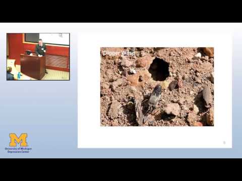 High Tech & High Touch: Advances in Mobile Health Systems for Managing Mood Disorders