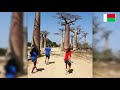 Jerusalema Dance Challenge at the Avenue of the Baobabs in Madagascar