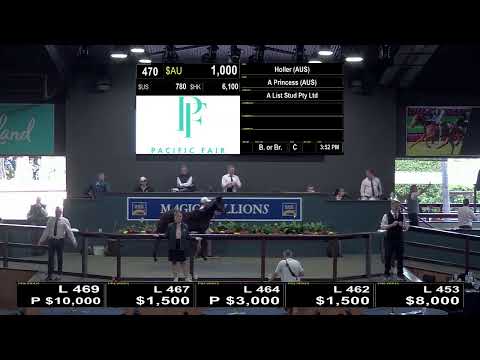 2021 Gold Coast National Weanling Sale Day 2