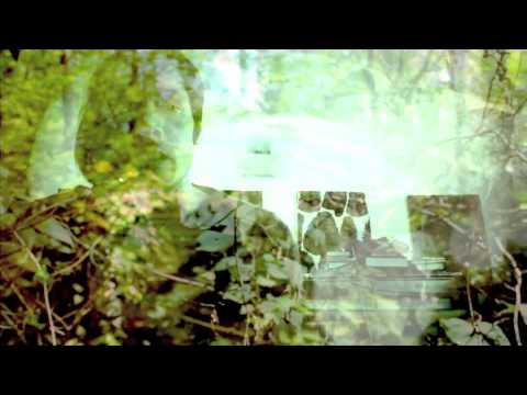 Video thumbnail for Little Bird