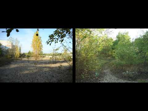 Vom Hauptbahnhof ins Gebüsch - S-Bahn 21 Teil 1