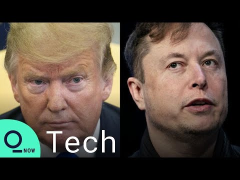 Elon Musk Says He’d Let Donald Trump Back on Twitter