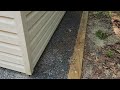 Stopping the Skunks from Harboring Underneath the Shed in Manahawkin, NJ