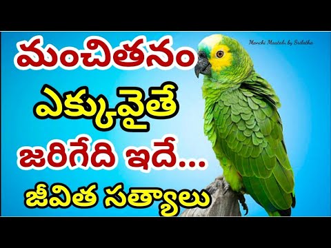 Life quotations| motivational quotes| famous quotations|jeevitha satyalu|Manchi Maatalu by Srilatha|