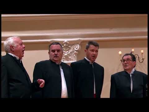 Klapa Čežnja  Zaspalo je siroče