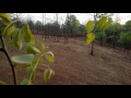 Youtube With Images
