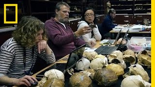 See How Scientists Identified Our New Human Ancestor | National Geographic