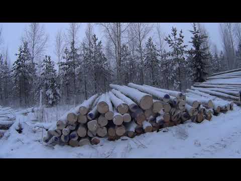 Metsolan Metsäkoulu 119 - Tehkää hankintakauppaa