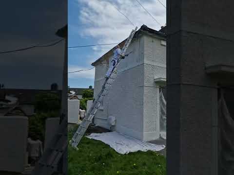 3D Dublin Decor. Graco Jet Roller.